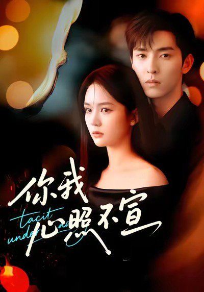 你我心照不宣(全集)